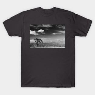 Lonely Joshua T-Shirt